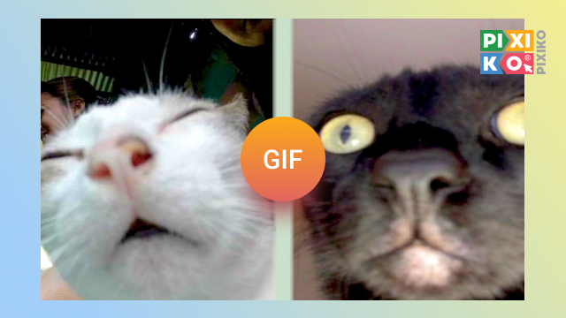 GIF Maker - photo to gif video to gif animated image meme maker